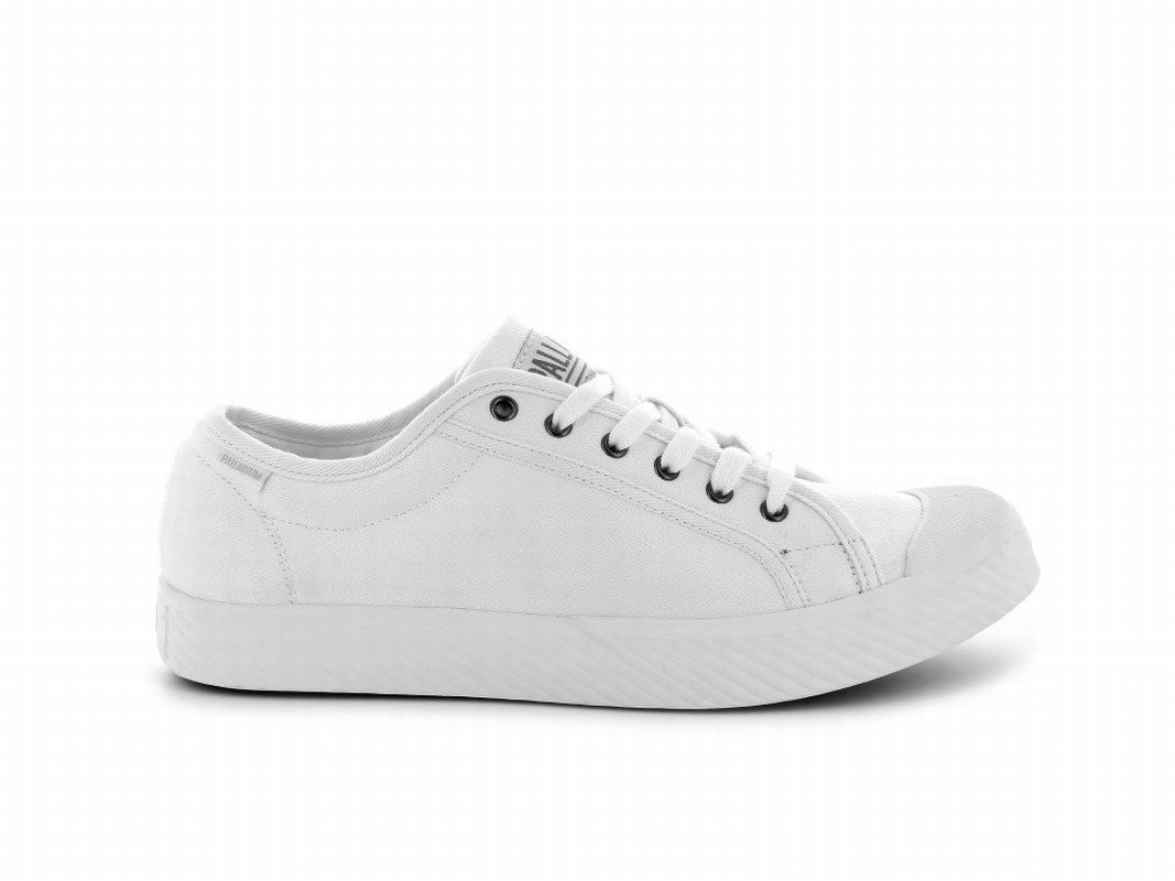 Zapatos Palladium Pallaphoenix Og Canvas Bajas Mujer - Blancas ||TDYB-41307||